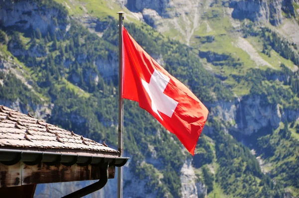 瑞士国旗在屋顶上飘扬的照片 — 图库照片