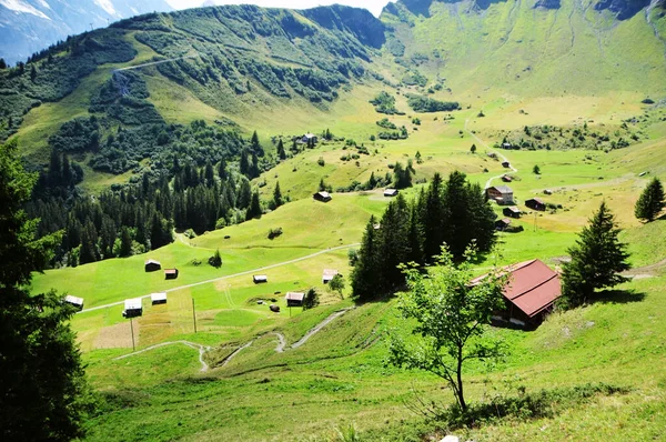 Photo Valleys Swiss Alps — Stok fotoğraf