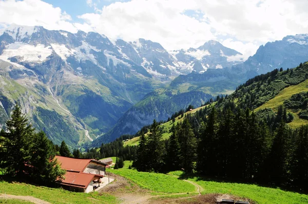 瑞士阿尔卑斯山谷的照片 — 图库照片