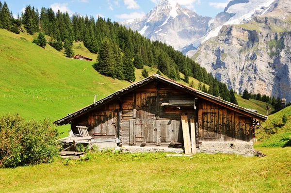 瑞士阿尔卑斯山谷地传统木制房屋的照片 — 图库照片