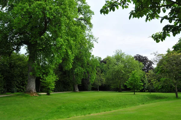 Photo Several Trees Green Garden — Stockfoto