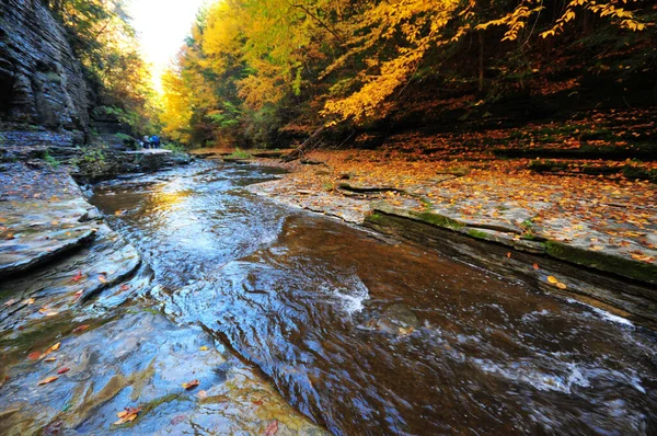 Photo Stream Canyon Autumn — Stockfoto