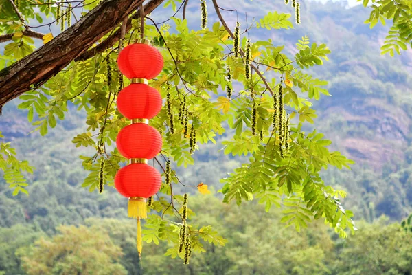 Photo Several Traditional Chinese Lanterns Hanging Trees — Stok fotoğraf