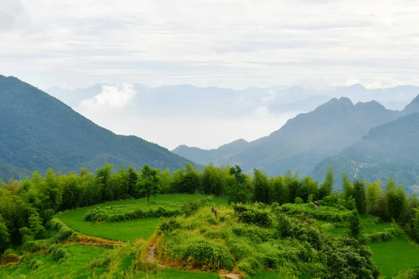 Foto Panoramica Dei Campi Terrazzati Rurali Cina Provincia Zhejiang — Foto Stock
