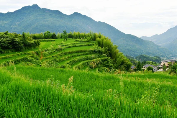 Panoramic Photo Rural Terraced Fields China Zhejiang Province — 图库照片