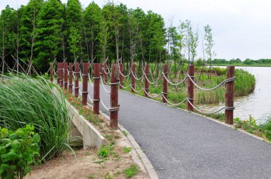 Doğadaki bir nehir ve kıyıdaki bitkilerin üzerinde küçük tahta bir köprünün panoramik fotoğrafı.