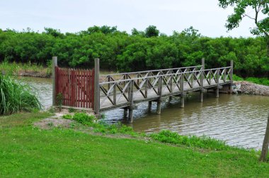 Doğadaki bir nehir ve kıyıdaki bitkilerin üzerinde küçük tahta bir köprünün panoramik fotoğrafı.