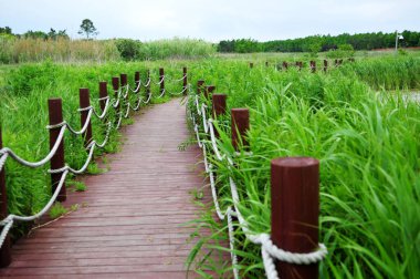 Panoramic photo of a small wooden bridge over a river in the wild and plants on the shore