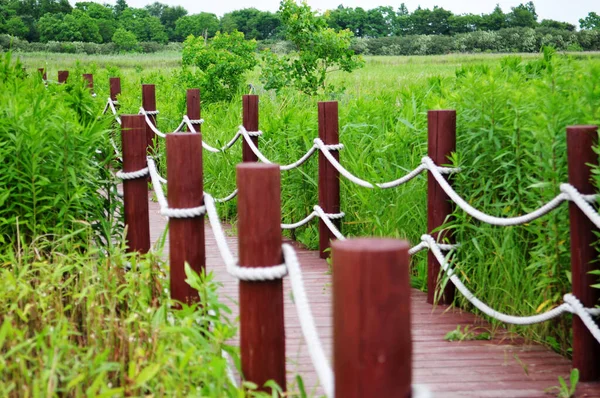 Foto Pequeño Puente Madera Sobre Río Estado Salvaje Plantas Orilla —  Fotos de Stock