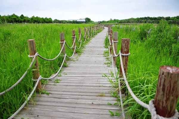 Panoramic Photo Small Wooden Bridge River Wild Plants Shore — Stock Photo, Image