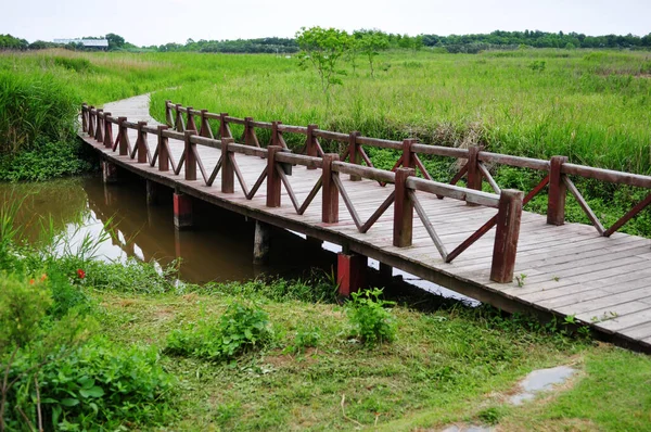 Panoramic Photo Small Wooden Bridge River Wild Plants Shore — Stock Photo, Image