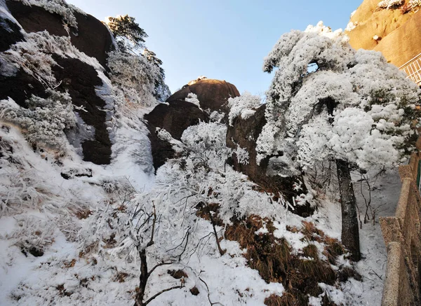 Photo Mountain Landscape Heavy Snowfall Trees Covered Snow Rime China —  Fotos de Stock