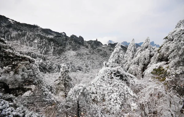 Photo Mountain Landscape Heavy Snowfall Trees Covered Snow Rime China —  Fotos de Stock
