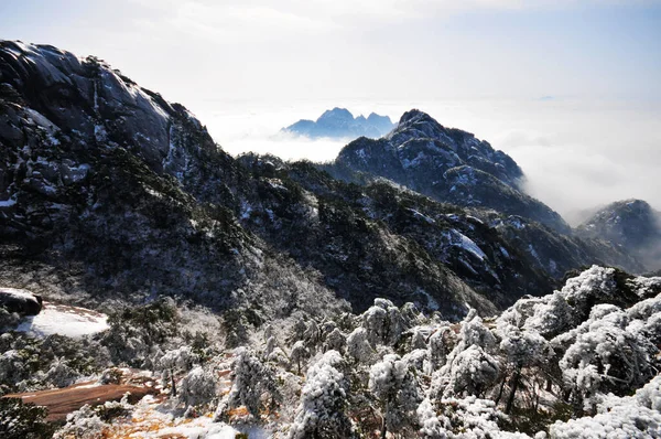 Photo Mountain Landscape Heavy Snowfall Trees Covered Snow Rime Sea — ストック写真