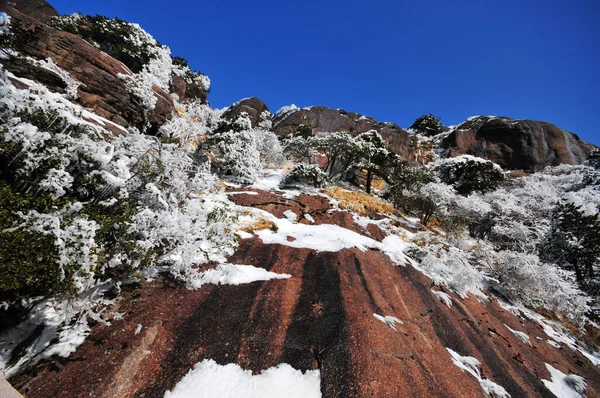 Foto Van Berglandschap Zware Sneeuwval Bomen Bedekt Met Sneeuw Rime — Stockfoto