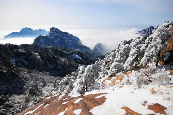 Photo Mountain Landscape Heavy Snowfall Trees Covered Snow Rime Sea — ストック写真