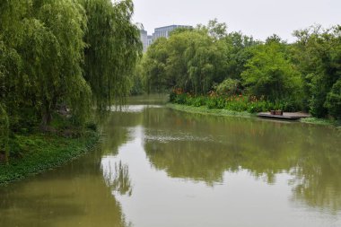 Doğadaki bir nehrin panoramik fotoğrafı ve kıyılarındaki bitkilerin.