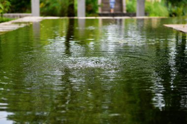 Bir kaynak suyu havuzu, kaynak suyu sudan fışkırıyor.