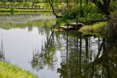 Küçük bir nehrin kıyısındaki tahta adımların fotoğrafı.