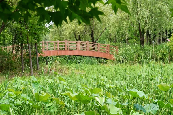 Panoramic Photo Small Wooden Bridge River Wild Plants Shore — Zdjęcie stockowe