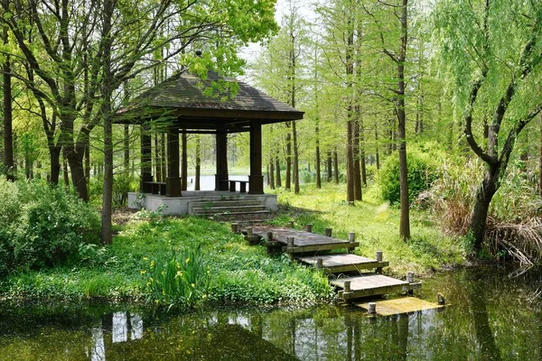 Photo Traditional Chinese Style Pavilion Woods Small River — Stock Photo, Image