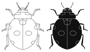 Layered editable vector illustration outline of ladybug.