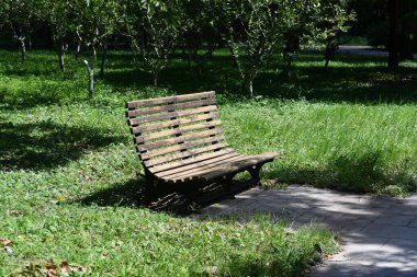 Parkın çimlerinde bir bankın resmi.