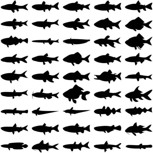 Layered Editable Vector Illustration Silhouette Freshwater Fishes — Stock Vector