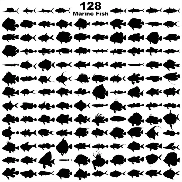 Warstwowa Edytowalna Ilustracja Wektora Sylwetki 128 Morskich Ryb — Wektor stockowy