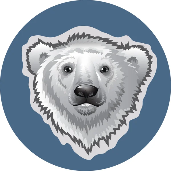 Head bear — Stock Vector