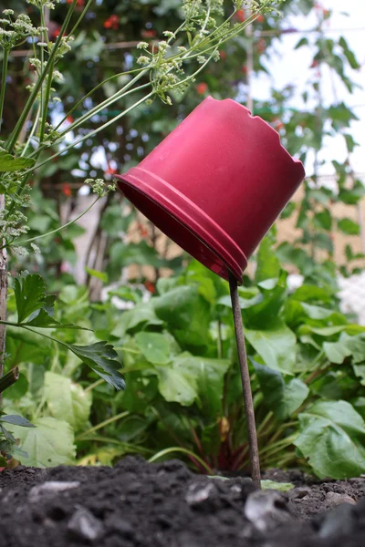 Marcador de vaso de planta — Fotografia de Stock