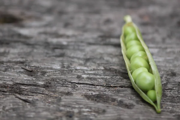Peas in a Pod — Stock Photo, Image