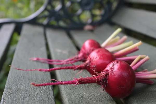 Fresh beetroot ストック画像