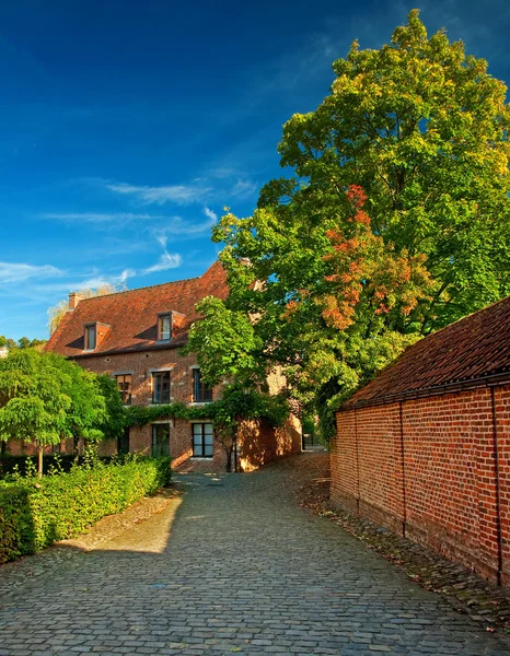 Schöne Häuser — Stockfoto