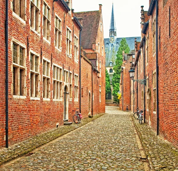 Schöne Häuser — Stockfoto