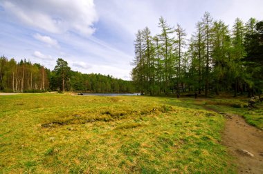 Loch ness, yaylaları