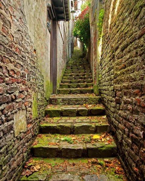 Smalle straat — Stockfoto