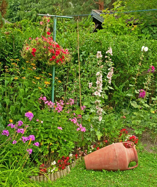 Schöne Blumen — Stockfoto