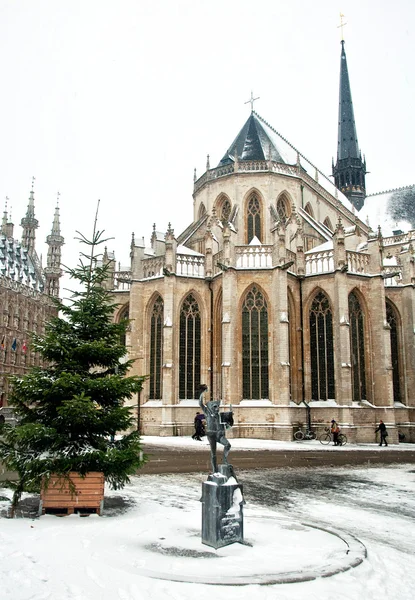 Cidade velha de Leuven — Fotografia de Stock