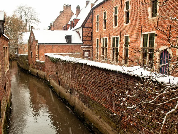 Oude stad van leuven — Stockfoto