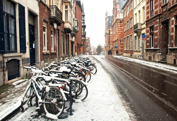 Cidade velha de Leuven — Fotografia de Stock