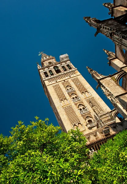 Berühmter Giralda-Turm — Stockfoto