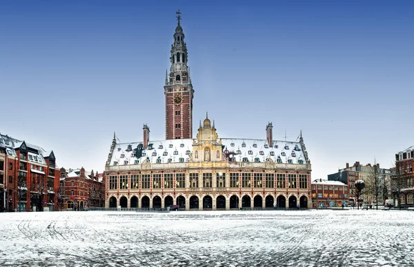 Library of Leuven — Stock Photo, Image