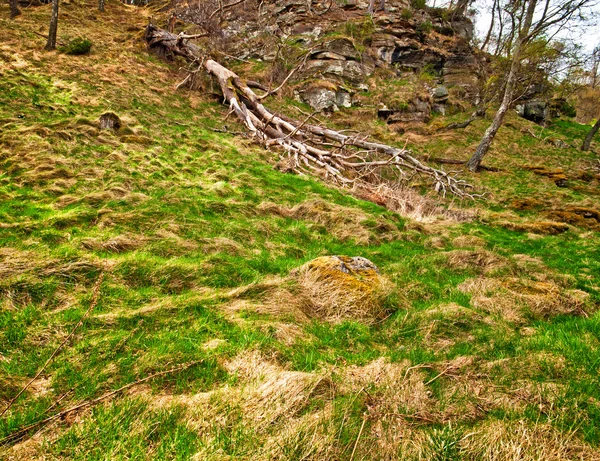 Paesaggio in Scozia — Foto Stock