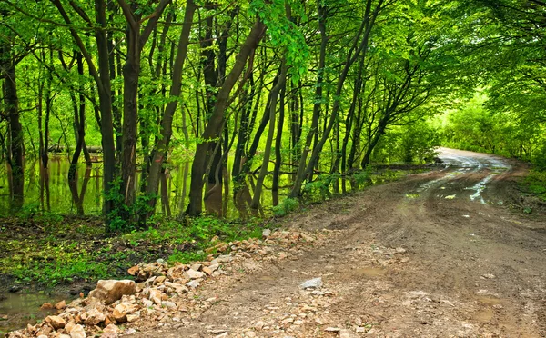 Wegstrecke — Stockfoto