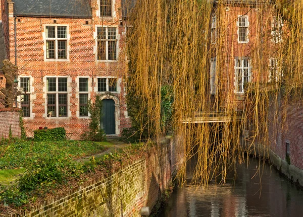 Huizen in Brugge, België — Stockfoto