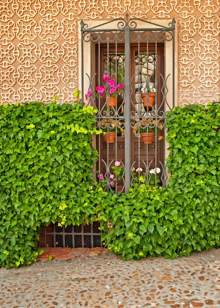 Schönes Fenster mit Blumen in Cordoba — Stockfoto