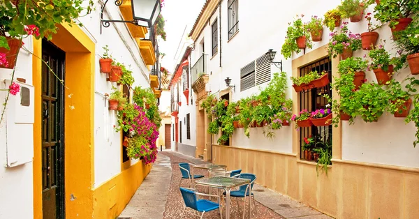 Patio in Cordoba — Stock Photo, Image