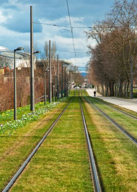 tramvay rayları yeşil çim üzerinde
