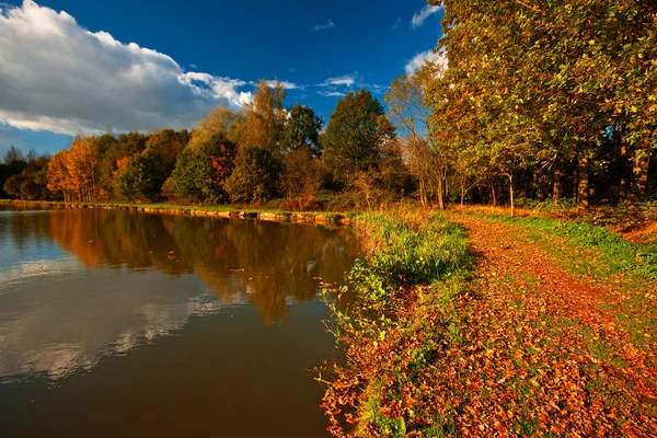 Осень в парке у озера . — стоковое фото